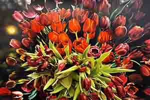 Blumen